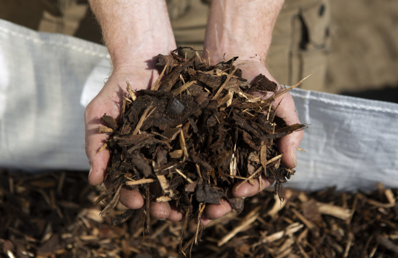 A handful of bark mulch