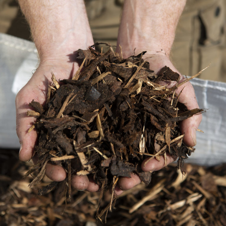 A handful of bark mulch