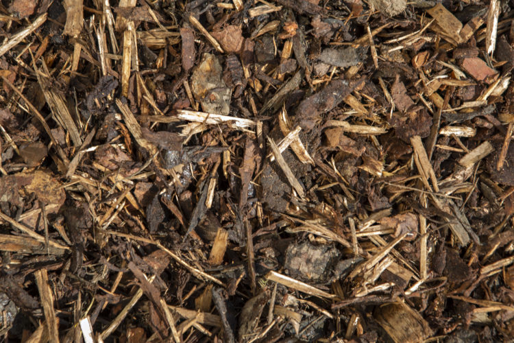 Close up image of bark mulch