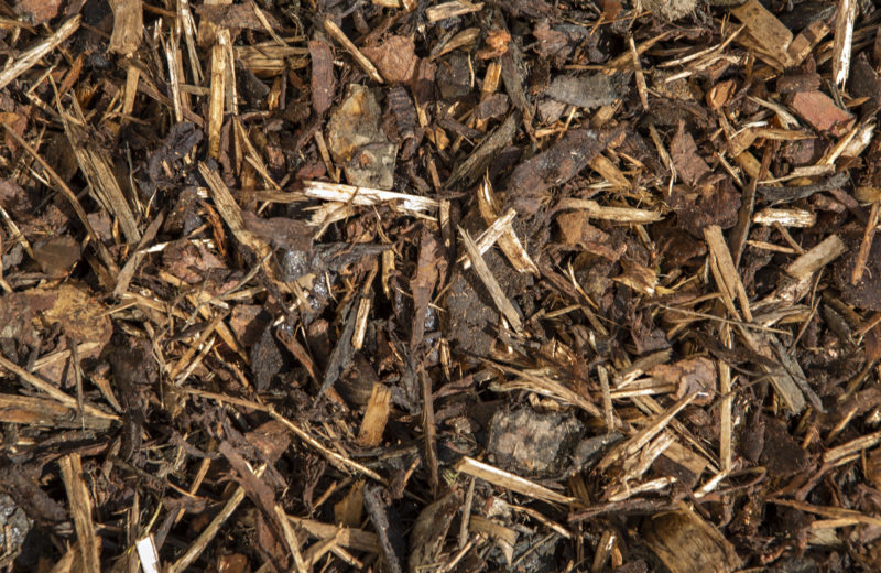 Close up image of bark mulch