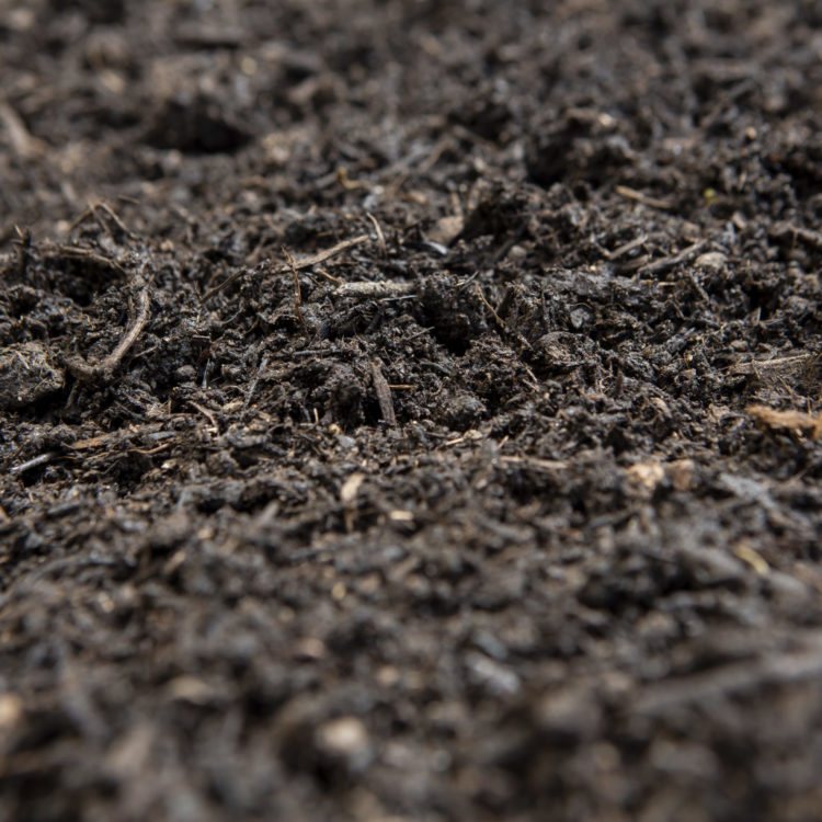 A close up image of peat-free compost