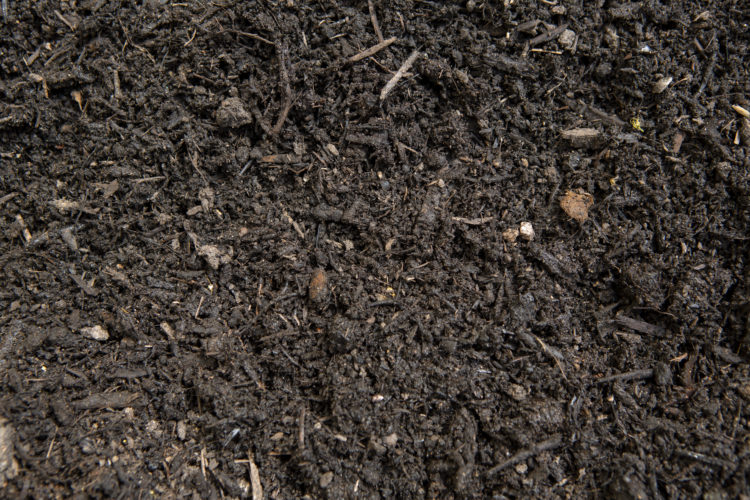 A close up image of peat-free compost