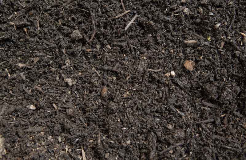 A close up image of peat-free compost