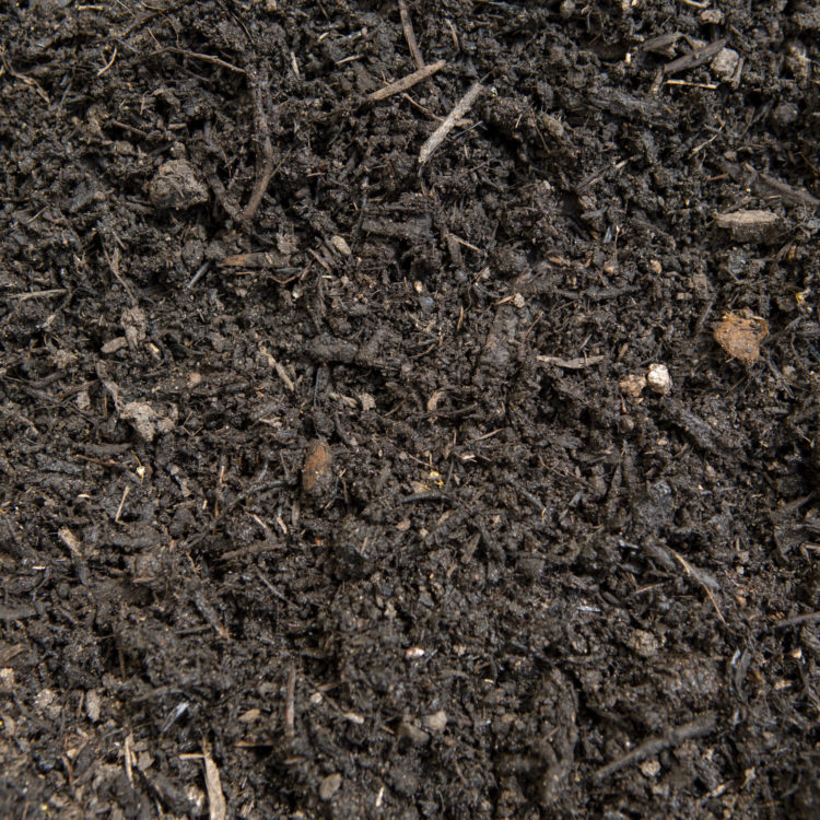 A close up image of peat-free compost