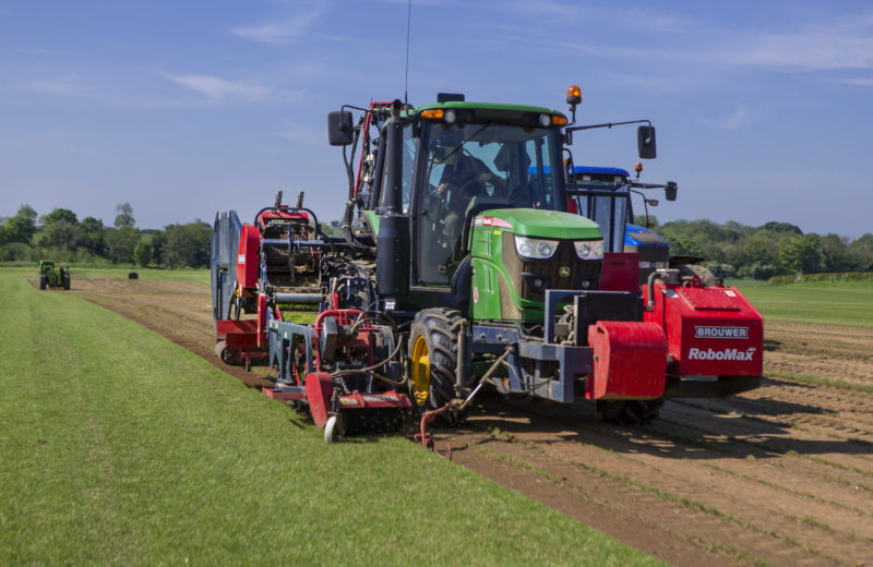 Cutting lawn turf ready for delivery