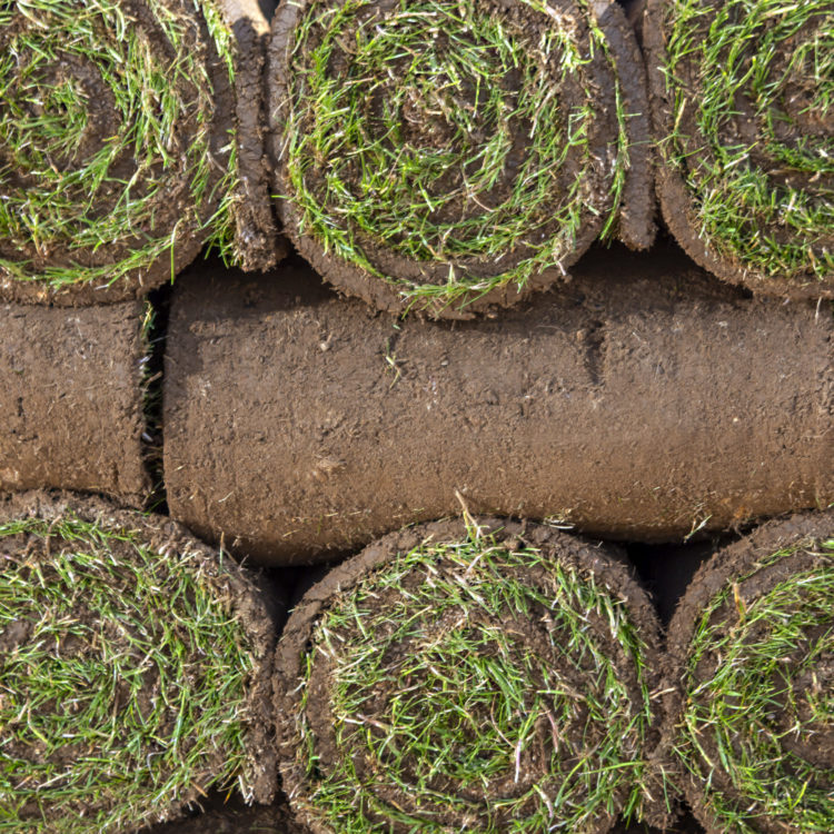 A close up of harvested garden turf rolls