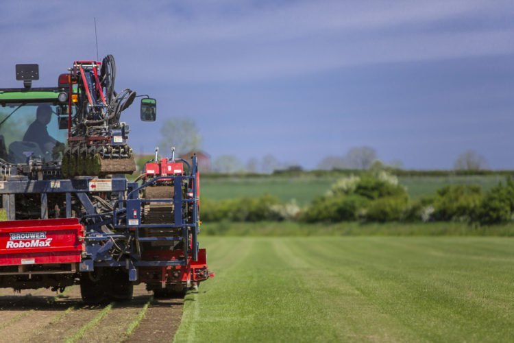 Grass turf harvester at work