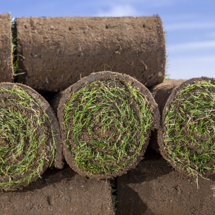 Grass turf rolls stacked