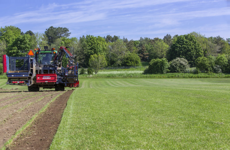 Garden turf harvester at work