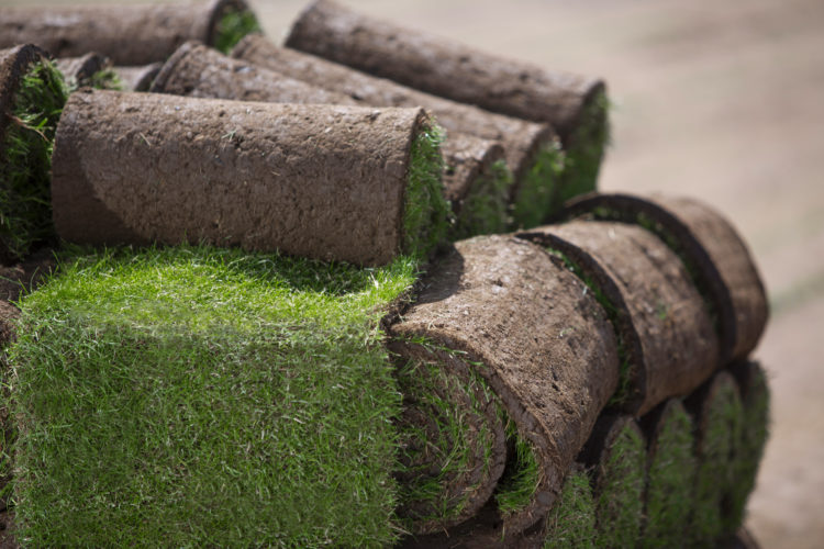 Stacked lawn turf rolls