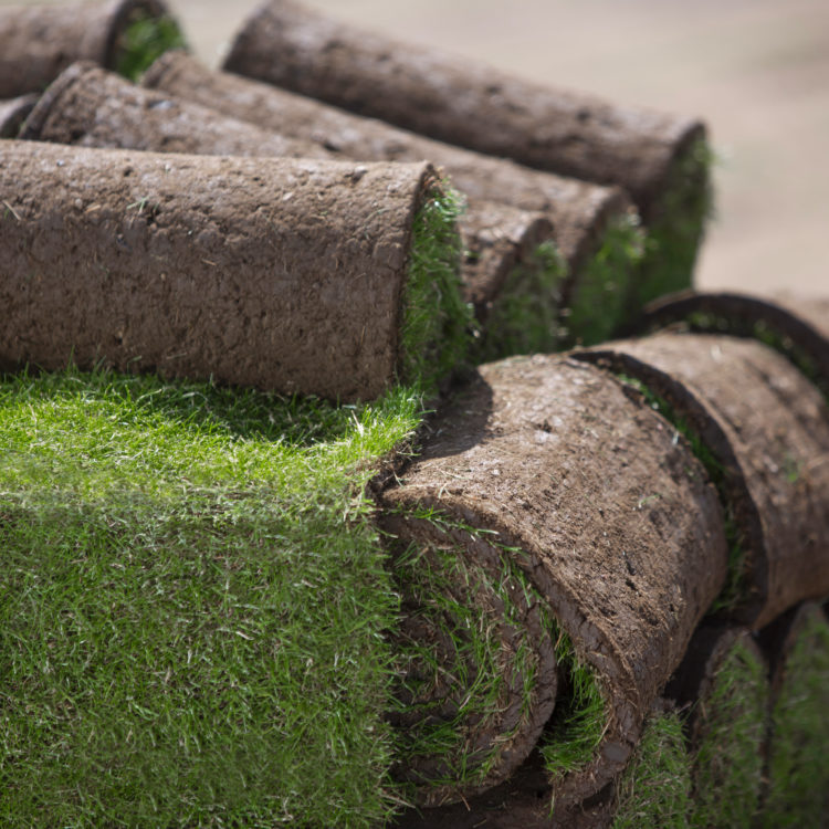 Stacked lawn turf rolls