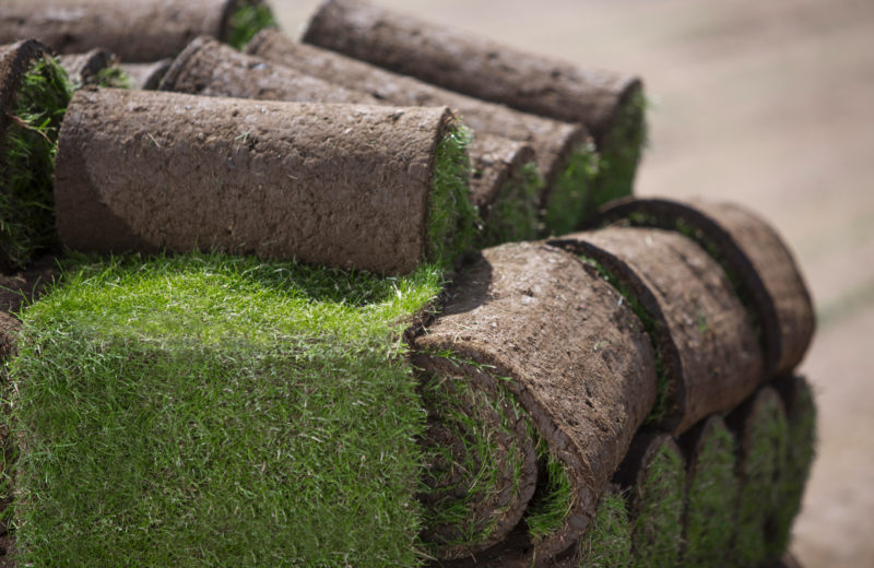 Stacked lawn turf rolls