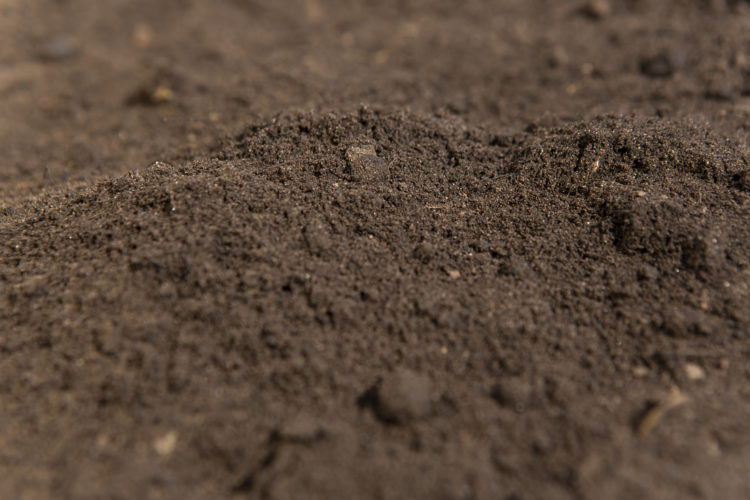 A close up image of premium topsoil