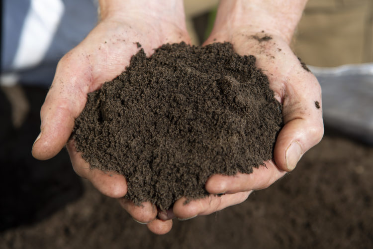 A handful of premium topsoil