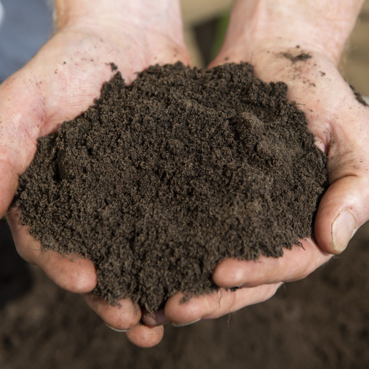 A handful of premium topsoil