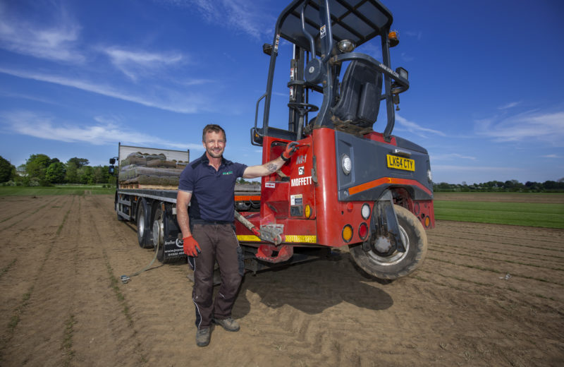 Rollaturf team member harvesting grass turf