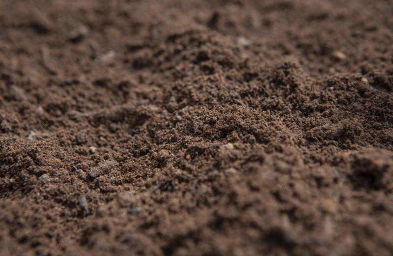 A close up of topsoil for Grass Turf