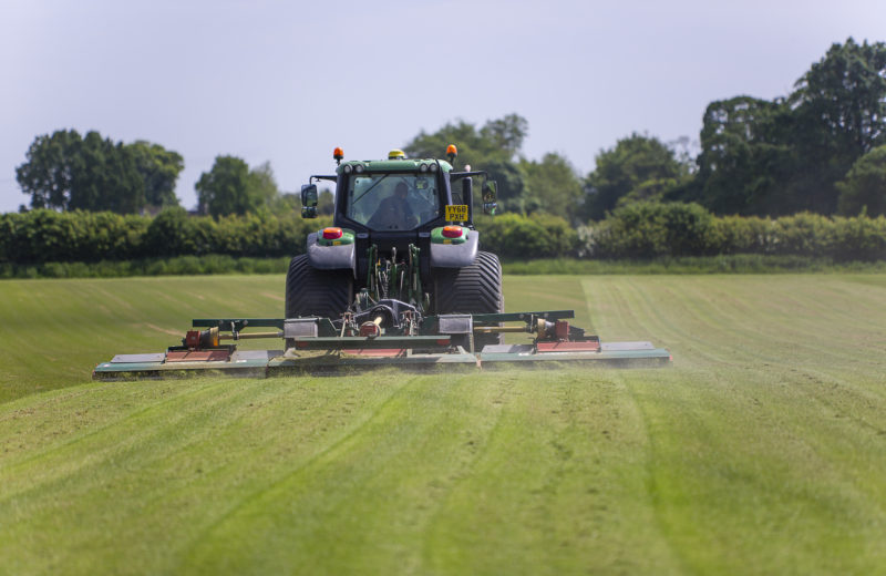 Mowing a field of garden turf