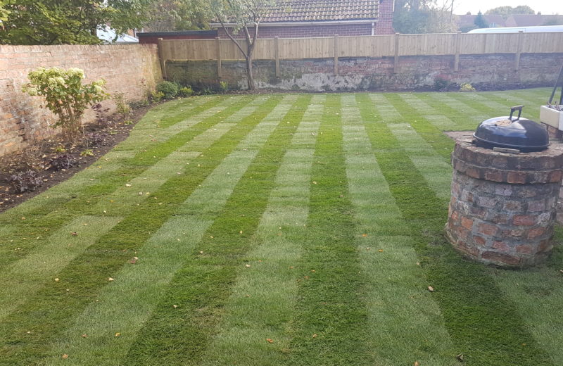 Freshly laid garden turf