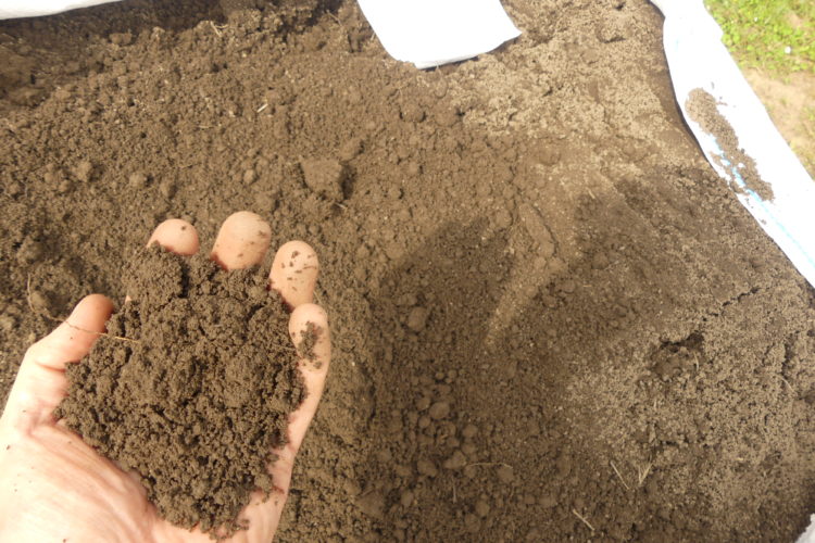 Handful of garden topsoil